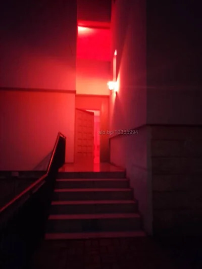 Компаньонка София - ИЩАР Ескорт - Анален секс, Групов секс, Орален секс - снимка 4