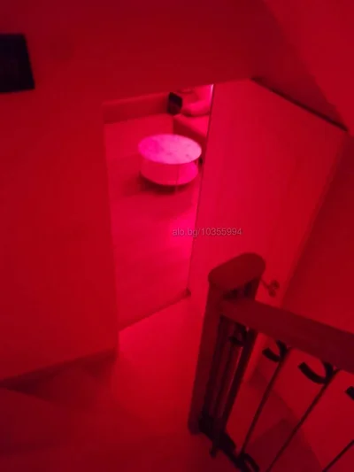 Компаньонка София - ИЩАР Ескорт - Класически секс, Анален секс, Групов секс - снимка 5